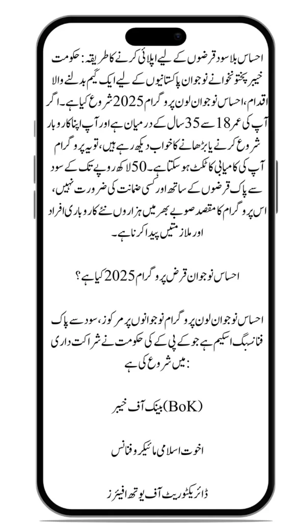 How to Apply for Ehsaas Interest-Free Loans in 2025 A Complete Step-by-Step Guide for Pakistan Residents