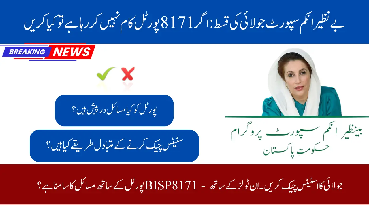 8171 Benazir Portal Down Alternative Methods to Check Your CNIC for July Installment Status