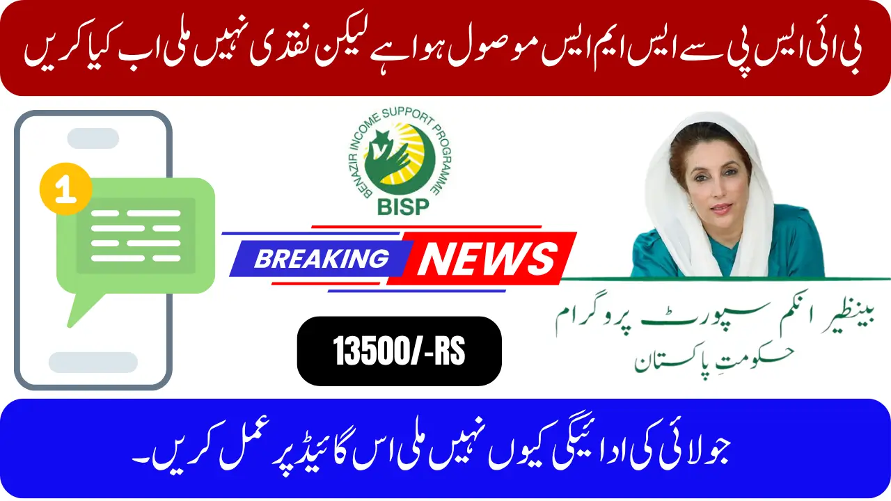 BISP 8171 SMS Received But No Cash in 2025 – Full Troubleshooting Guide