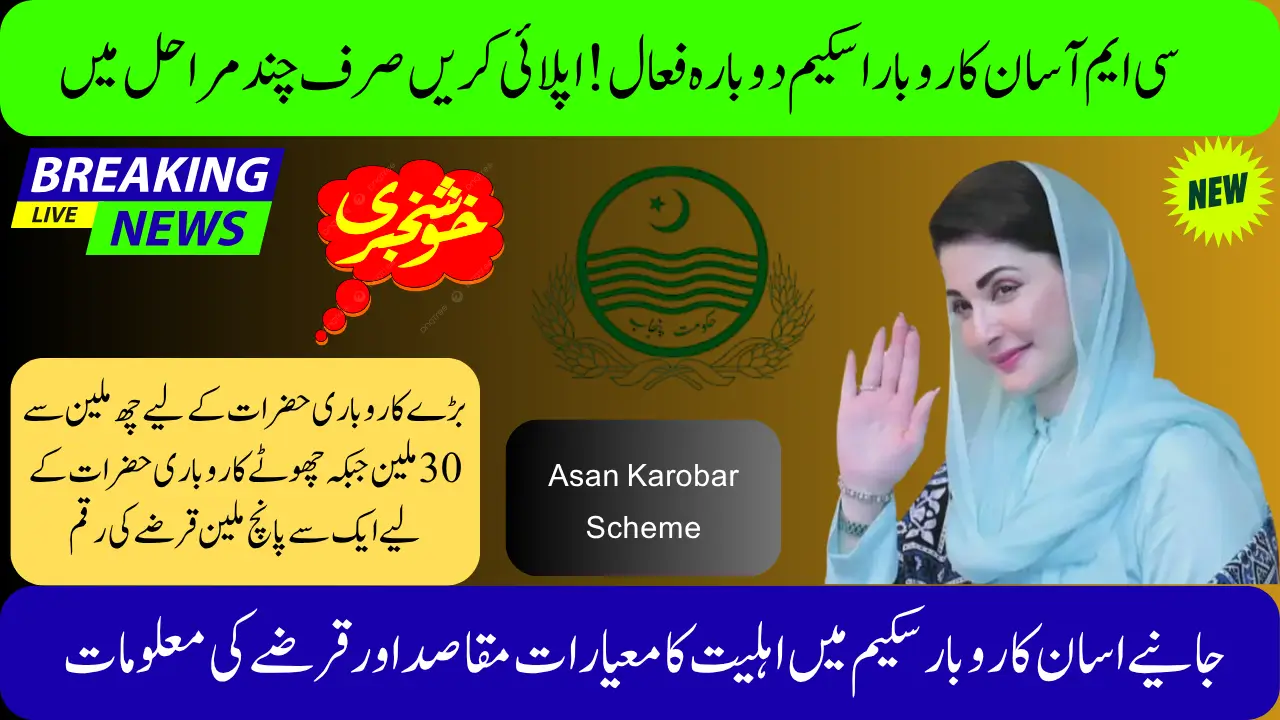 CM Asan Karobar Scheme Reactivated! Apply in Just a Few Steps.
