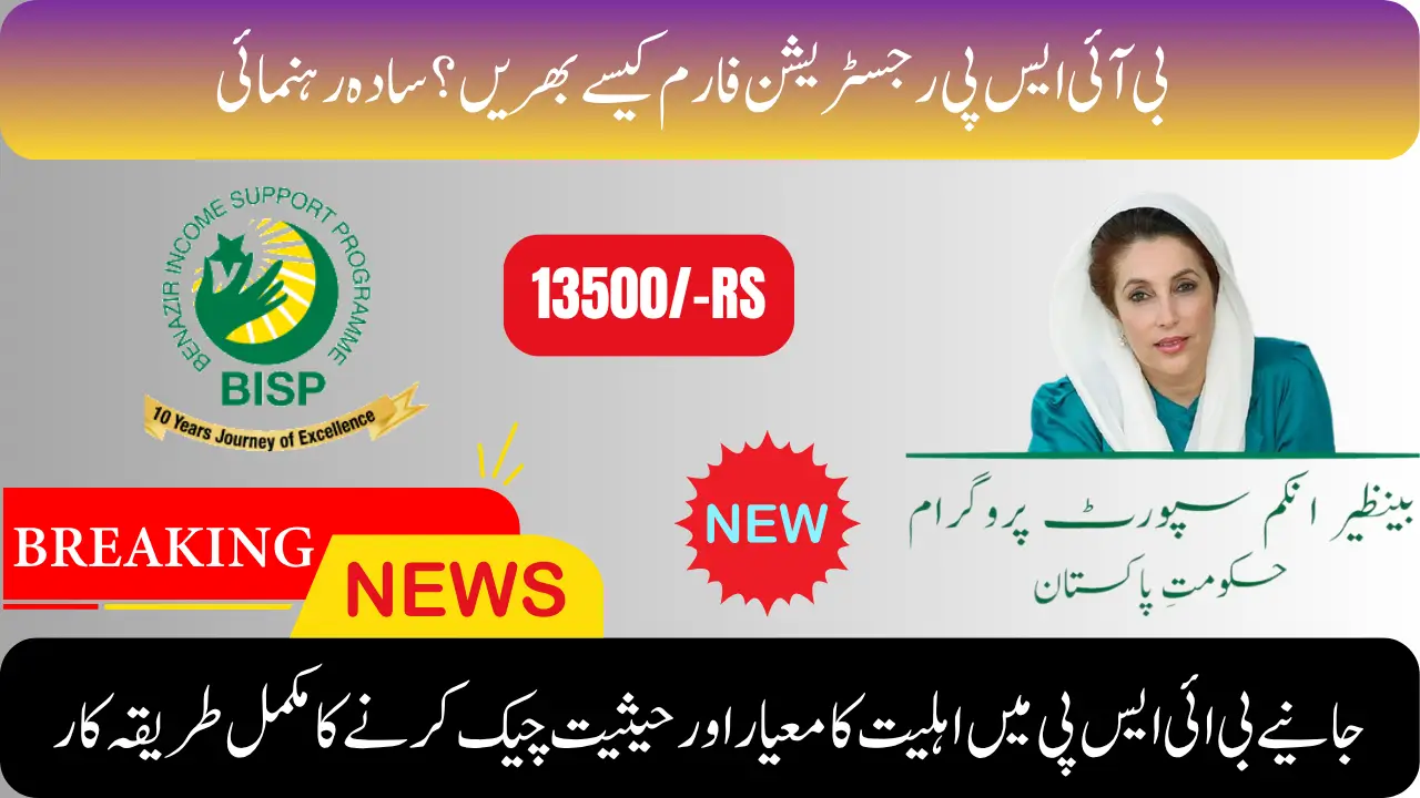 Check BISP registration, status and verification with just one SMS!
