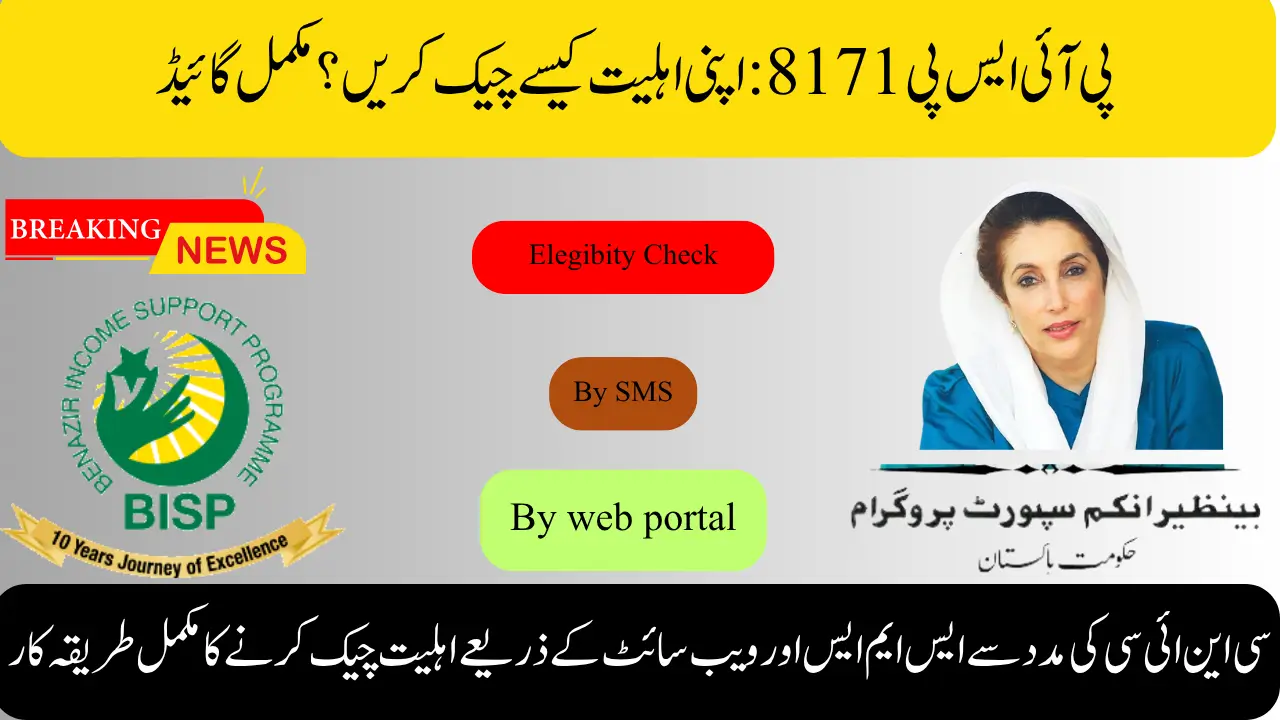 Complete Method to Check CNIC Eligibility Through 8171 SMS and Website