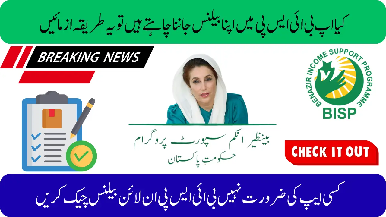 Easy Way to Check BISP Balance Online – July 2025 Portal Access