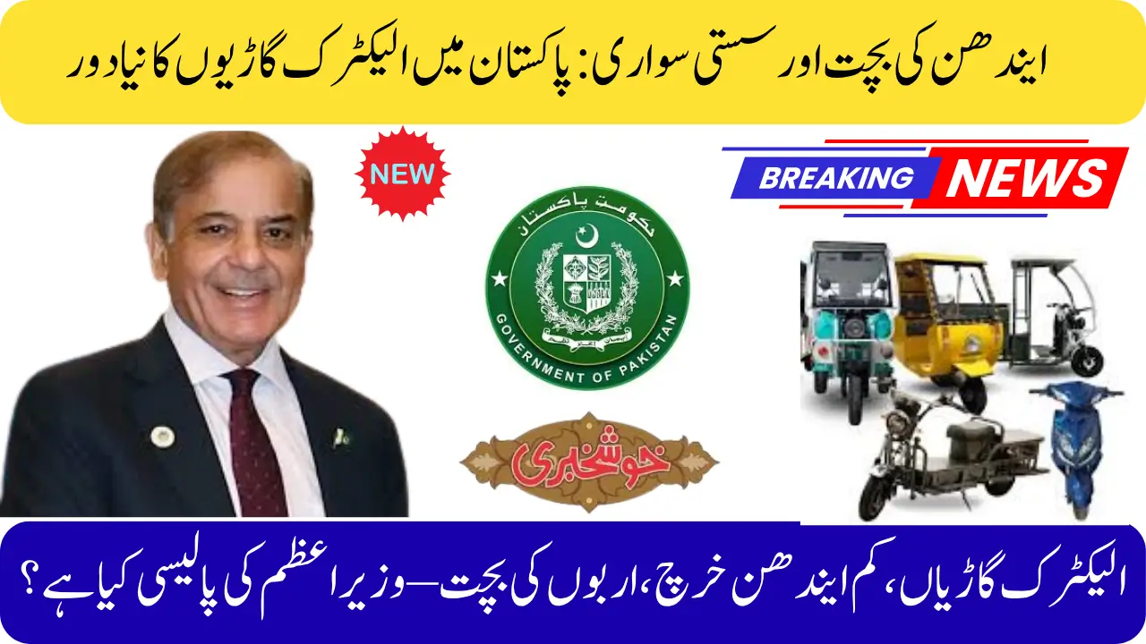 Electric vehicles, lower fuel consumption, billions saved – Prime Minister's policy