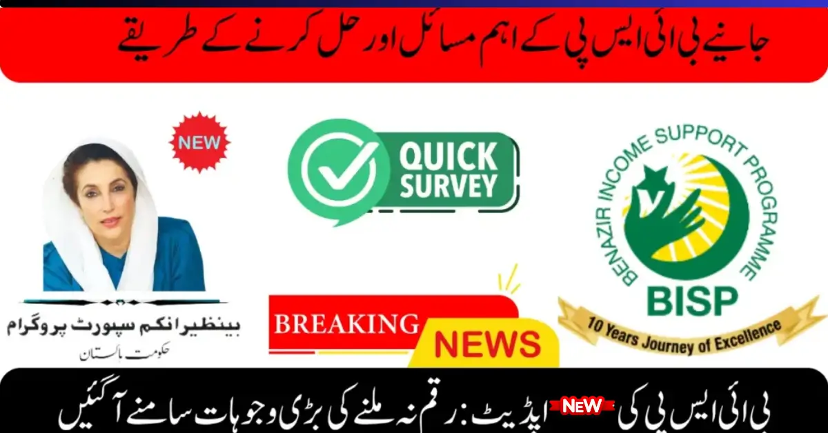 Solution to BISP problems: Easy ways to get payment