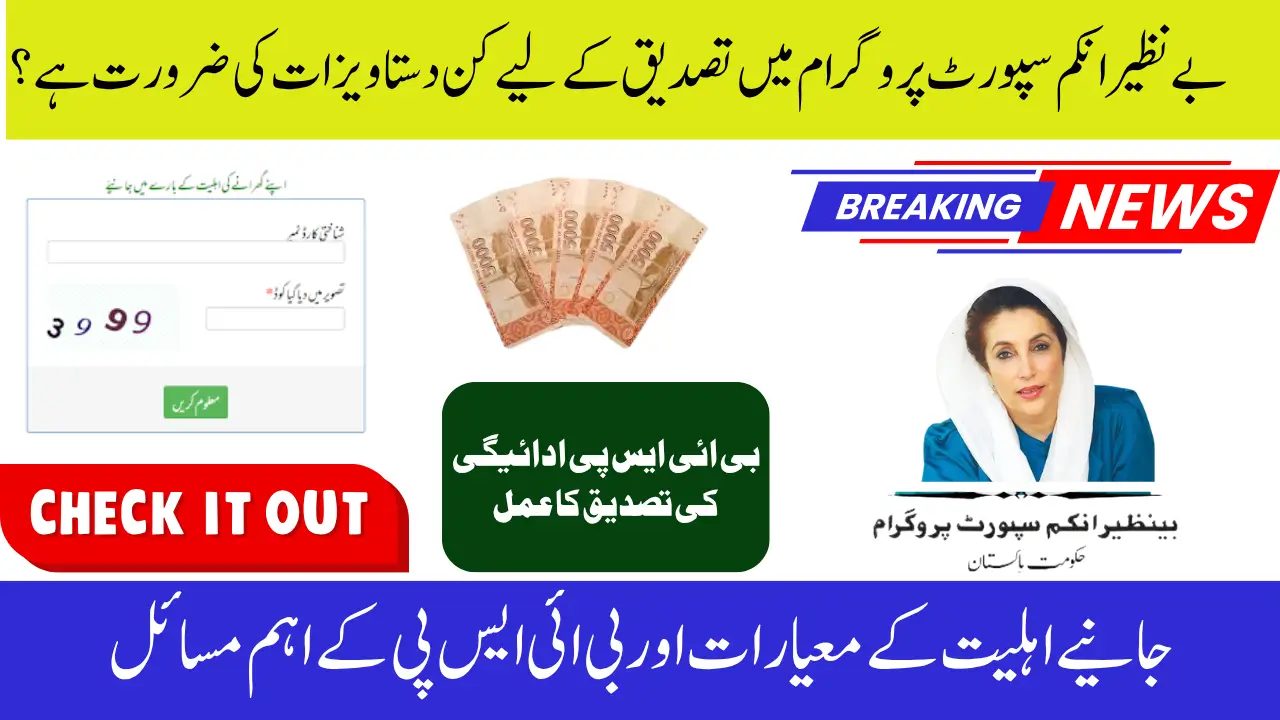 BISP 8171 Verification Guide for August 2025 – Avoid Payment Delays