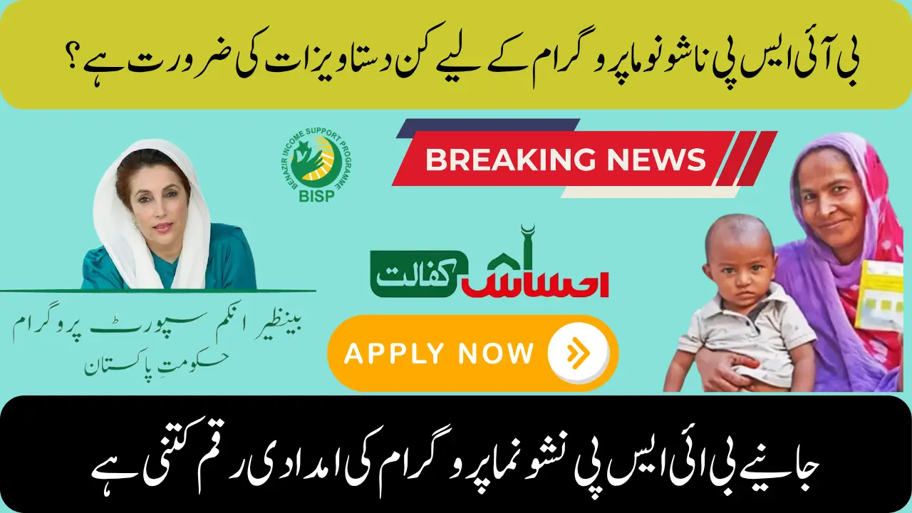BISP Nashonuma Program: Complete August 2025 Update Eligibility & Enrollment Process