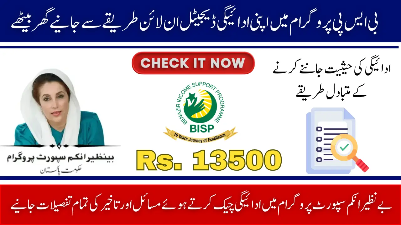How to Instantly Check Your 8171 BISP Digital Payment Status for 2025 Online