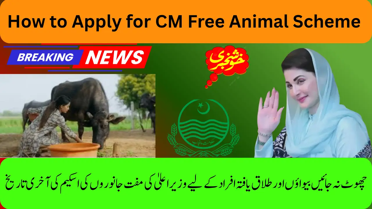 Widows & Divorcees Benefit Big from the CM Free Animal Scheme Last Date to Apply