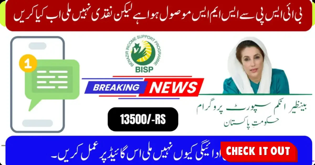 BISP 8171 SMS Received But No Cash in 2025 – Full Troubleshooting Guide