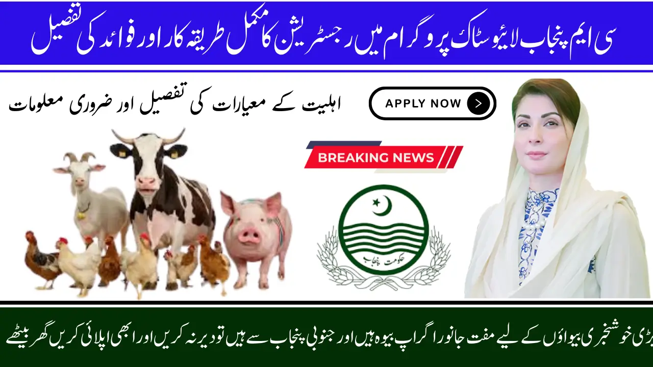 CM Punjab Livestock Program for Widows: How to Apply Benefits and Criteria Check Now