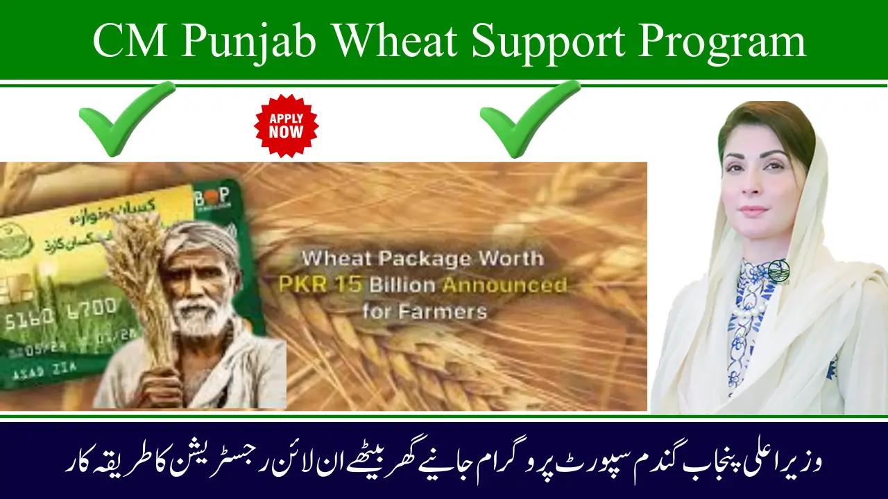CM Punjab Wheat Support Program Full Details Eligibility How to Apply Check Now