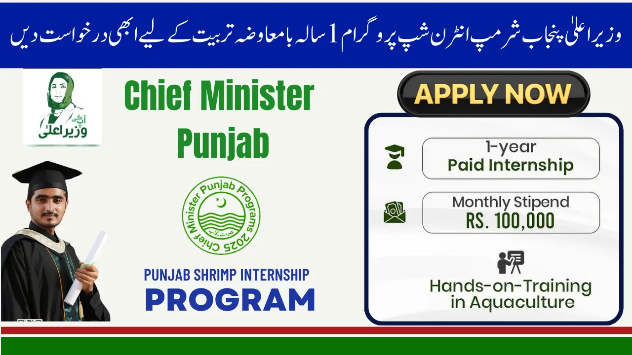 CM Punjab Shrimp Internship Program 2025 Announced: Apply Now for 1-Year Paid Training