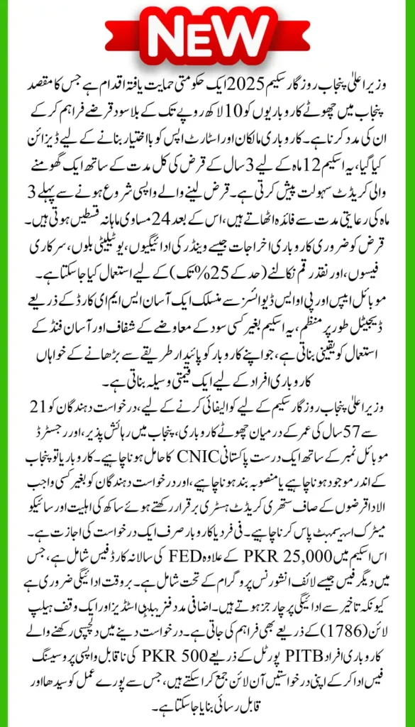 CM Punjab Rozgar Scheme 2025: How to Apply Online and Loan Details