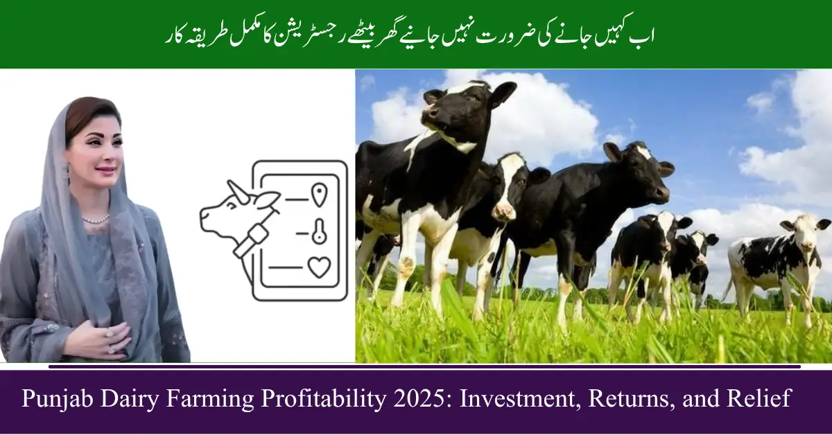 Punjab Dairy Farming Profitability 2025: Investment, Returns, and Relief