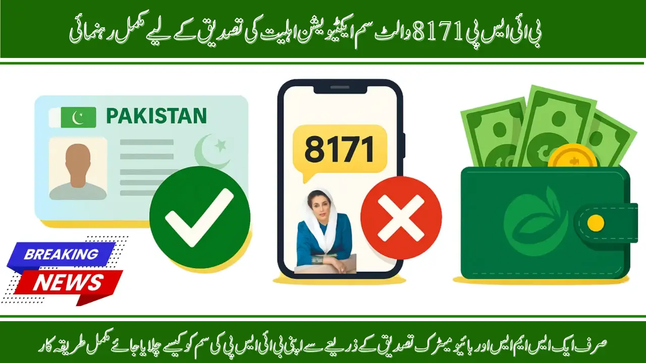 BISP Wallet SIM 8171: Check Payments, Eligibility, and Update Mobile Number